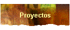Proyectos