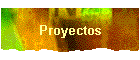 Proyectos